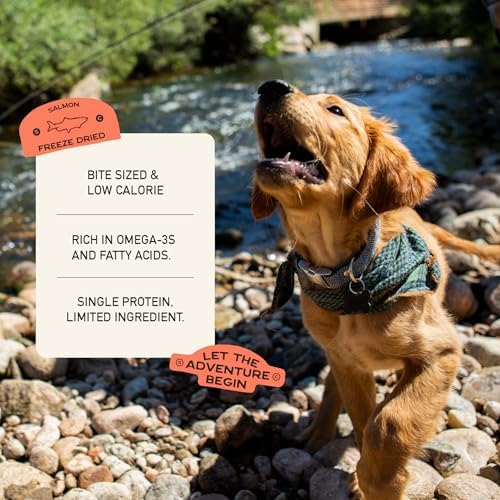 Smart Cookie Freeze Dried Salmon Bites - Single Ingredient Freeze Dried Treats for Dogs - Wild Caught Alaskan Salmon Dog Training Treats & Dog Food Topper - Made in USA - 2oz Bag, 1 Pack