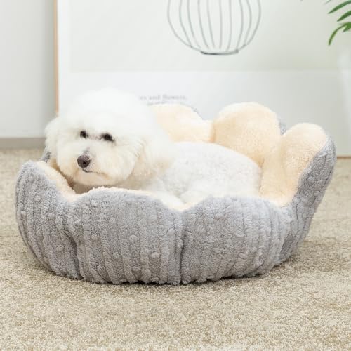 Hollypet Cozy Cat Beds for Indoor Cats - Cute Cactus Pet Bed, Fluffy Puppy Bed, Non-Slip Extra Small Dog Bed, Gray