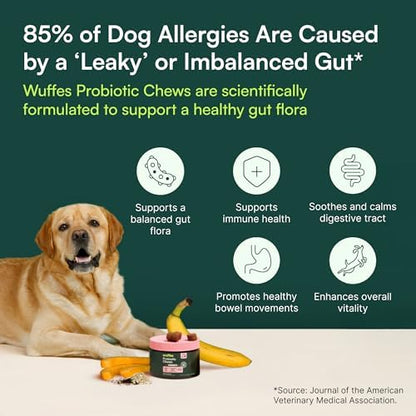 Wuffes Probiotic Chews for Dogs, Gut & Immune Support (2-Pack)