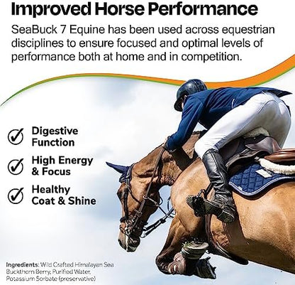 SeaBuck 7 Equine Sea Buckthorn Supplement for Horses, 1 Gallon
