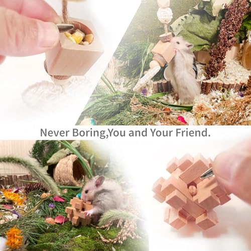 13 PCs Hamster Toys for Hamster, Gerbils, Mice, Rats, and Other Small Animals - Natural Molar Chew & Play Toys to Induce Teeth Grinding, Reduce Boredom and Depression