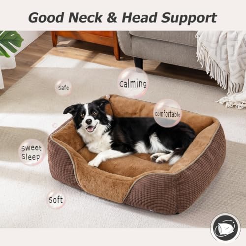 MIXJOY Dog Beds for Medium Dogs Washable, Calming Pet Bed Medium Size Dog, Soft Rectangle Pet Beds Sofa Cuddler, Orthopedic Sleeping Rabbit-Velvet Cozy Puppy Bed with Anti-Slip Bottom (30x24in)