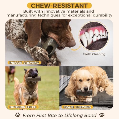 Dog Frozen Treat Toy to Keep Them Busy - Dog Chew Toy for Medium/Large Dogs