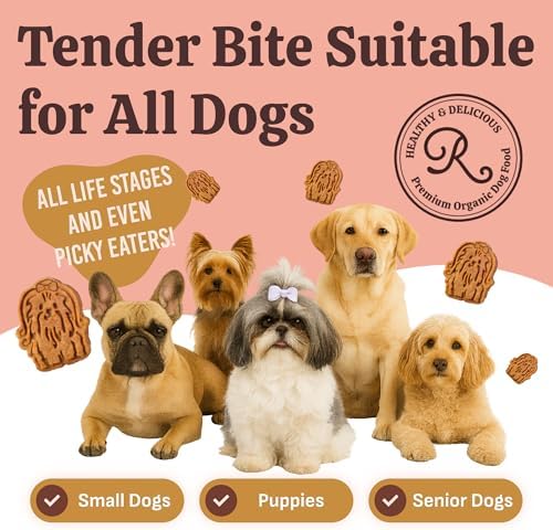 Lilly's Littles Soft Dog Treats, Chicken & Pumpkin