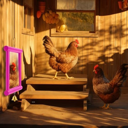 Sadnyy Extra Large Chicken Mirror Toy for Coop Square Double Side Mirror