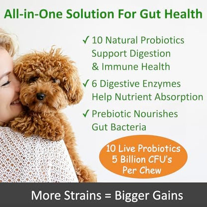 TummyWorks Probiotics for Dogs, Probiotics Chews for Digestive & Gut Health