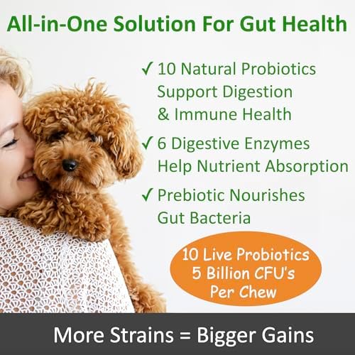 TummyWorks Probiotics for Dogs, Probiotics Chews for Digestive & Gut Health