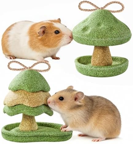 Guinea Pig Toys 2 Pack Guinea Pig Chew Toys Rabbit Treats Hamster Toys