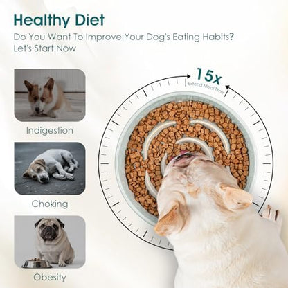 vancasso Slow Feeder Dog Bowls, 0.6 Cup Ceramic Puzzle Dish for Small Breed