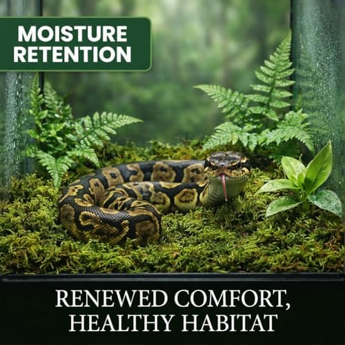 Sukh Sphagnum Moss for Reptiles - Terrarium Reptile Moss Substrate, 6.3 OZ