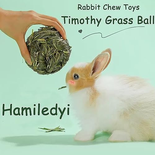 Hamiledyi Rabbit Chew Ball Timothy Grass Grinding Bunny Chew Toys 3PCS
