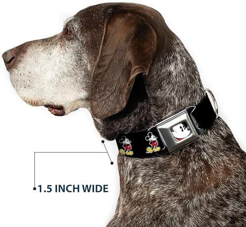 Dog Collar Seatbelt Buckle Jasmine Aladdin Carpet Ride Jasmine Poses Flowers 13 to 18 Inches 1.5 Inch Wide