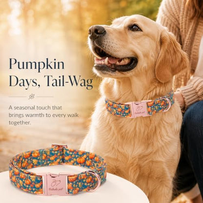 Fall Pumpkin Dog Collar, Cute Thanksgiving Dog Collar - Soft Cotton Autumn Puppy Collars, Adjustable Heavy-Duty Metal Buckle Pet Collars for Small Medium Large Boy Girl Dogs L