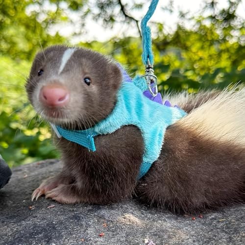 Small Animal Harness and Leash Set, Adjustable Escape Proof Ferret Harness Vest for Adult Ferret, Meerkat, King Squirrel & Fancy Rat, Soft Comfortable Pet Walking Harness with Leash