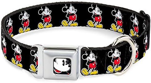 Dog Collar Seatbelt Buckle Jasmine Aladdin Carpet Ride Jasmine Poses Flowers 16 to 23 Inches 1.5 Inch Wide