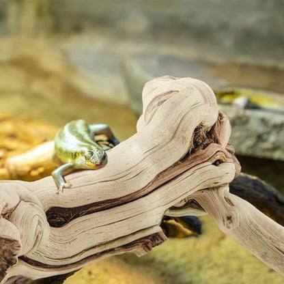 Janinka 22-24" Large Reptile Driftwood Branch for Bearded Dragon Gecko