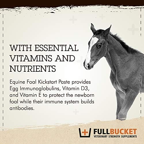 Fullbucket Health Foal Kick Start Immune Paste 80ml (Pack of 2)