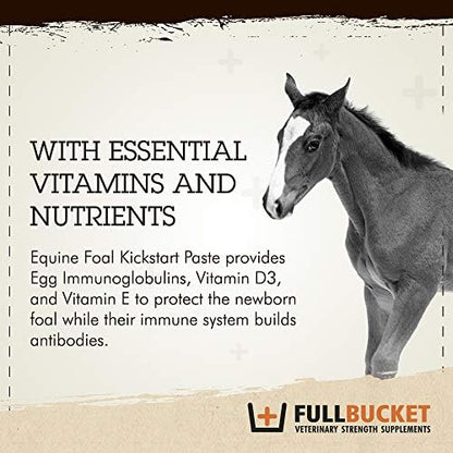Fullbucket Health Foal Kick Start Immune Paste 80ml (Pack of 2)