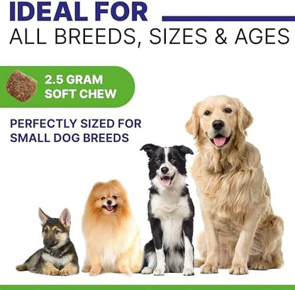 Allergy Relief Dog Chews - Itchy Skin Relief with Omega 3 + Probiotics