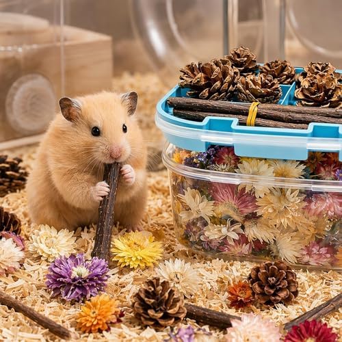 Natural Pet Nest Decorations for Small Pets, Hamster & Rabbit Chew Toys Set with Dried Flowers, Apple Sticks & Pine Cones, Pet-Friendly, Helps Adapt to New Environment & Relieve Stress