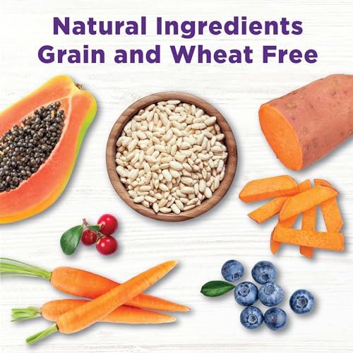 Wellness Bowl Boosters Immune Health Dog Food Topper with Freeze Dried Pieces for Small, Medium, and Large Breeds, Grain Free, Natural, Plant Based, 4 oz Bag