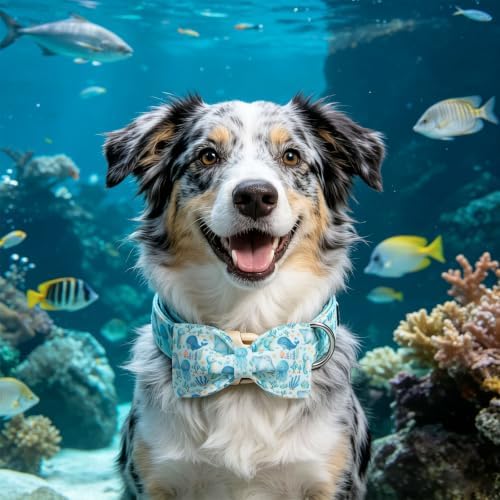 Summer Sea Animal Print Dog Collar with Bow for Large Dogs