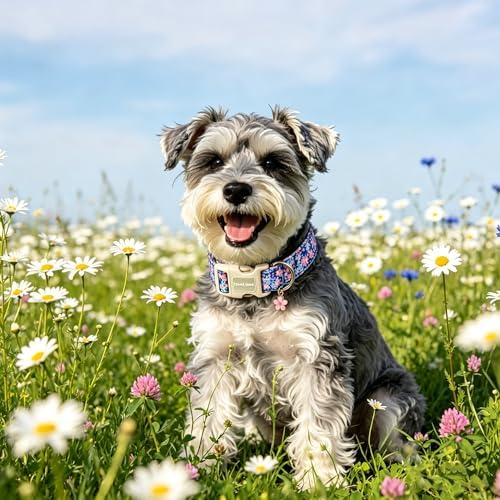 Lionet Paws Floral Dog Collar Summer Wildflowers Daisy Fleabane Collars with Pink Peach Pattern Pendant - Female Girl Dog Collar for Medium Large Dogs M