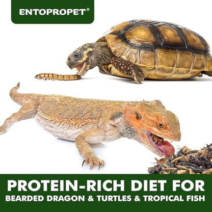 Dried Mealworms & Crickets Medley Treat for Bearded Dragons 5oz