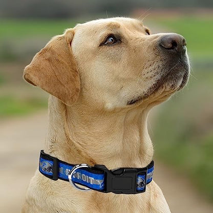 New & Improved Pets First NFL Carolina Panthers Licensed PET Collar, X-Large - Heavy-Duty, Strong, and Durable New Dog Collar. Available in 32 Football Teams and 4 Sizes