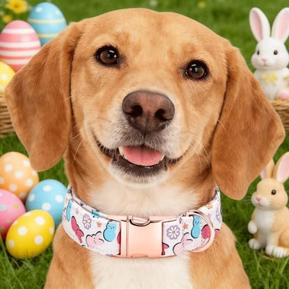 Easter Dog Collar, Colorful Rabbit Print Pet Collars Pink Cute Durable Metal Buckle Girl and Boy Dog Collars Adjustable for Small Medium Large Dogs
