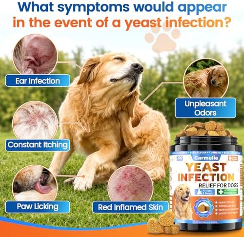 Yeast Infection Treatment for Dogs 200 Chew, Itch Ear Paw Skin Coat Support