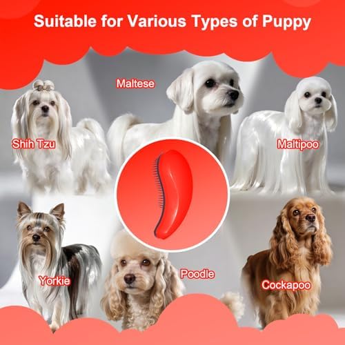 Small Dog Brush, Skin-friendly Soft Bristles (Orange)