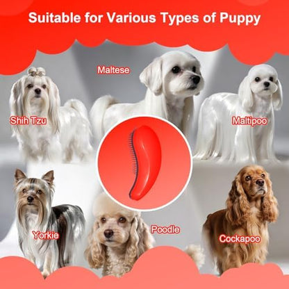 Small Dog Brush, Skin-friendly Soft Bristles (Orange)