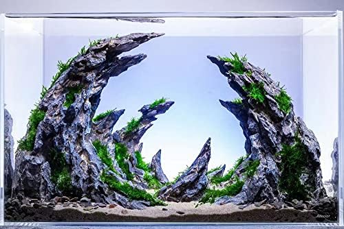 Allcolor Low Iron Glass Ultra Clear Rimless Aquarium Tank (15Gal)