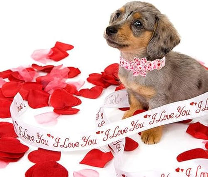 Valentine's Red Heart Dog Collar with Flower for Small Dogs