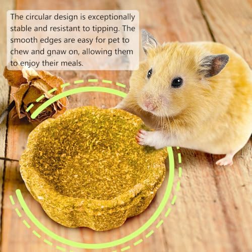 6 Pack Rabbit Chew Toys for Teeth Natural Guinea Pig Toys
