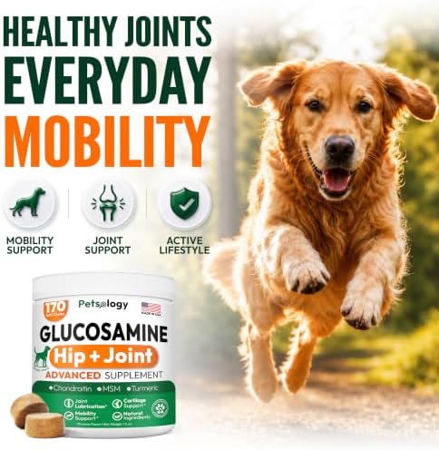 (2 Pack) Glucosamine for Dogs, 340 Chews, Hip and Joint Supplement for Dogs