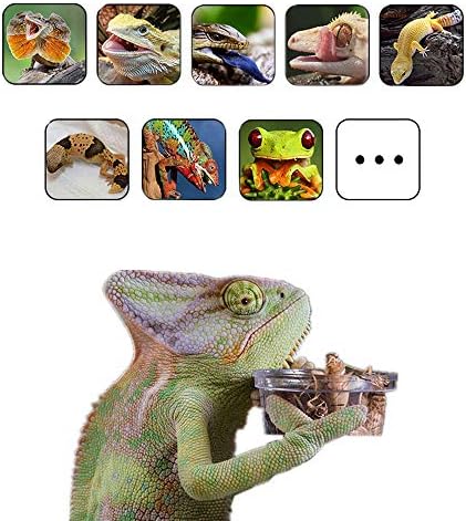 200Pcs Crested Gecko Food Dish, 0.5oz Plastic Reptile Feeding Cups