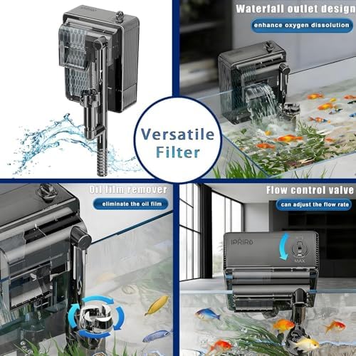 3 Gallon 12.6” L Fish Nano Glass Aquarium, with Separator Plate for Betta, Multi-Functional Square Fish Tank with Filter, LED Light, Black 4mm Glass