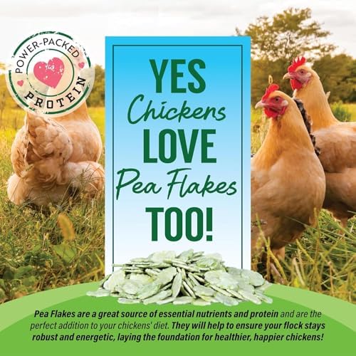 Small Pet Select - Pea Flakes, Treats for Rabbit Bunny, Guinea Pig, Chickens, Bunny, Hamster, and Other Small Pets, 3 lb (Three Pack, 1lb)