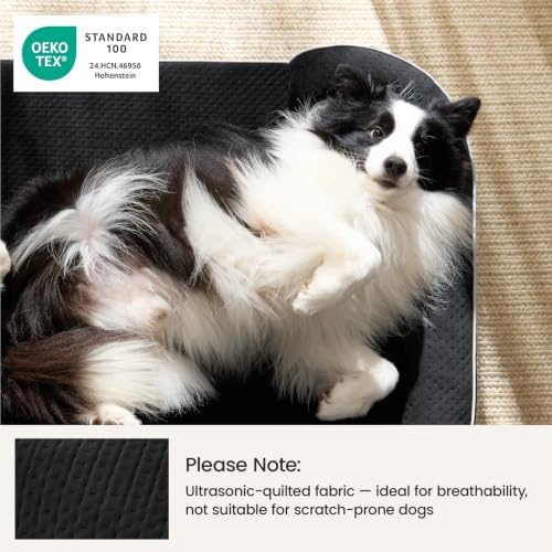 LE SURE RealOrtho™ L Plus 3-Layer Foam Orthopedic Large Dog Bed,38" Black