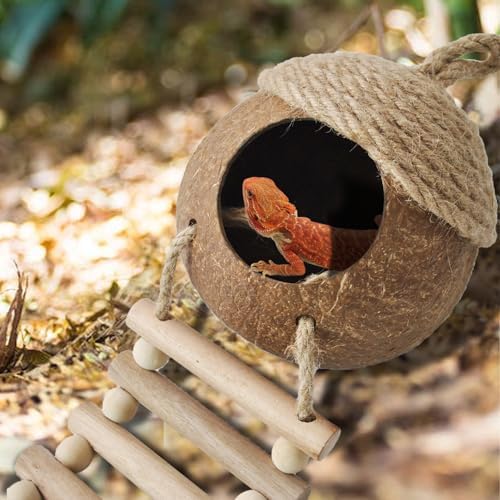 5 PCS Gecko Tank Accessories,Gecko Coconut Hide with Ladder Reptile Terrarium Plants Hammock Climbing Flexible Jungle Vine Tank Decor for Crested Gecko,Baby Bearded Dragon,Chameleon,Snake