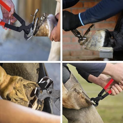 12pcs Professional Farrier Tools Farrier kit Horse shoeing Tools Farrier Supplies Farrier Tools for Horses Cattle Sheep and Donkeys