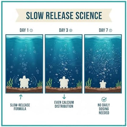 Shellstrong Premium Calcium Block for Aquatic Turtle - Slow Release Water Tank Conditioner - Cuttlebone for Aquarium - Turtle Tank Accessories - 20 Gallon Aquatic Treatment (5 Calcium Blocks)