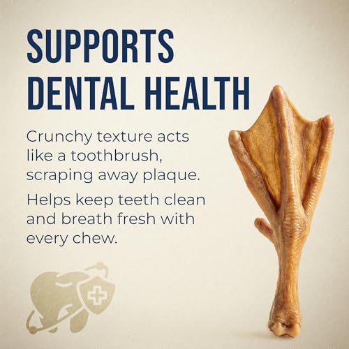 K9warehouse Duck Feet for Dogs – High Protein Dehydrated Dog Treats, Natural Crunchy Chews with Collagen, Glucosamine & Chondroitin for Joint & Hip Health, Dental Care, Small to Large Breeds (30 pcs)