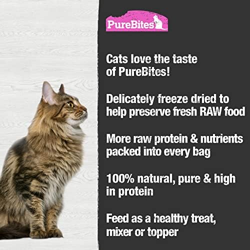 PureBites Salmon Single Ingredient Freeze Dried Cat Treats, 2 oz