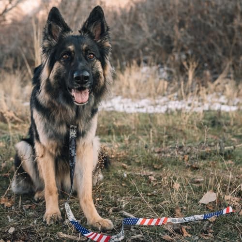Wolfgang Heavy Duty Martingale Dog Collar with Quick Release Nylon Buckle for Walking & Training, DigitalDog Print, Large