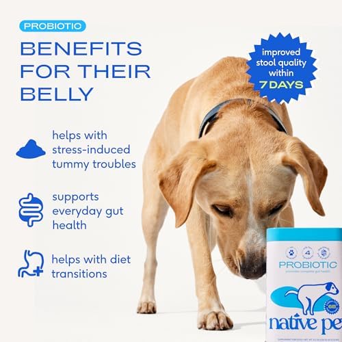 Native Pet Probiotics for Dogs – Dog Probiotic Powder for Gut & Digestive Health, Vet-Formulated 6B CFUs Dog-Specific Probiotic Strains, Supports Stool Quality & Diet Transitions – 240 Scoops