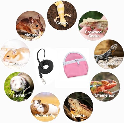 Leopard Gecko Backpack Carrier,Reptile Portable Backpack Carrier with Small Backpack Harness Leash Set,Space Capsule Clear Bubble Window Travel Backpack for Lizard Travel,Guinea Pig,Rabbit
