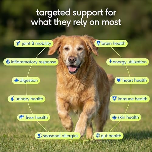 Native Pet Senior Daily Dog Vitamins & Supplements – 12-in-1 Dog Multivitamin Powder for Senior Dogs – Supports Mobility, Cognition, Digestion, Immune Health & More – 30 Scoops